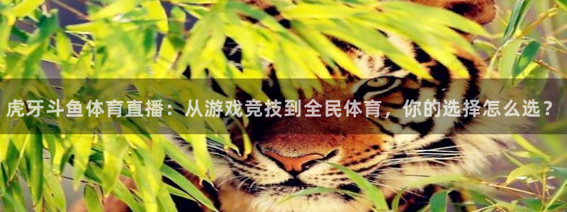 360足球直播视频雨燕直播：虎牙斗鱼体育直播：从游戏竞技到全民体育，你的选择怎么选？