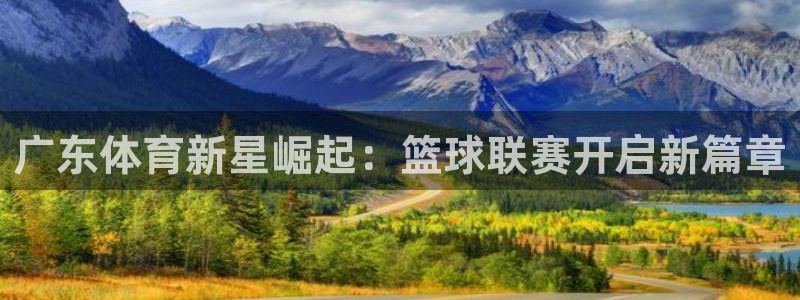 在线看足球直播360：广东体育新星崛起：篮球联赛开启新篇章