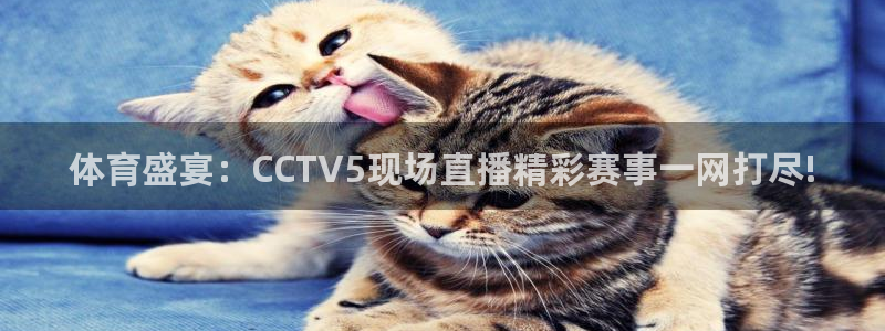 雨燕360足球直播：体育盛宴：CCTV5现场直播精彩赛事一网打尽!