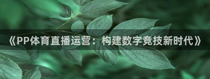 360体育直播免费直播视频：《PP体育直播运营：构建数字竞技新时代》