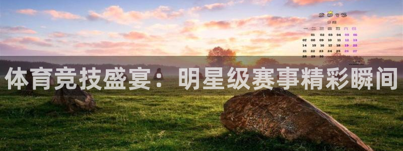 360足球体育直播免费观看：体育竞技盛宴：明星级赛事精彩瞬间