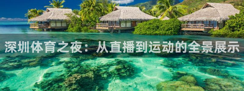 360无插件直播nba：深圳体育之夜：从直播到运动的全景展示