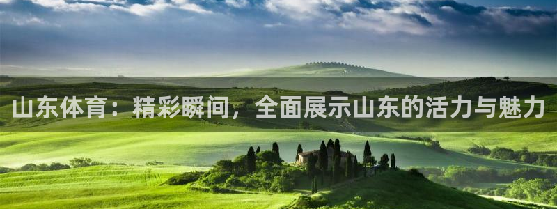 360体育直播官网：山东体育：精彩瞬间，全面展示山东的活力与魅力