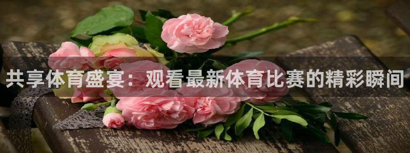 360体育直播观看：共享体育盛宴：观看最新体育比赛的精彩瞬间