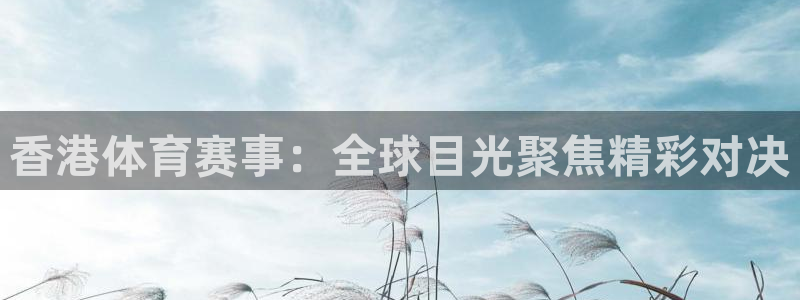 360体育免费直播在线观看：香港体育赛事：全球目光聚焦精彩对决