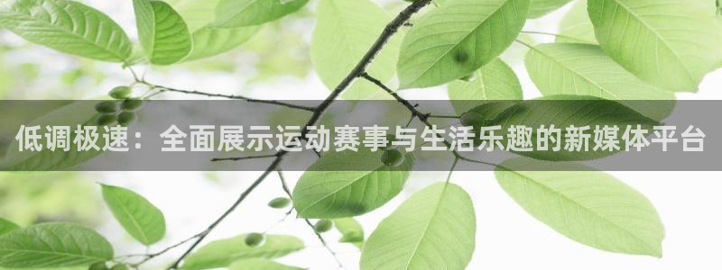 雨燕360体育直播免费观看高清：低调极速：全面展示运动赛事与生活乐趣的新媒体平台