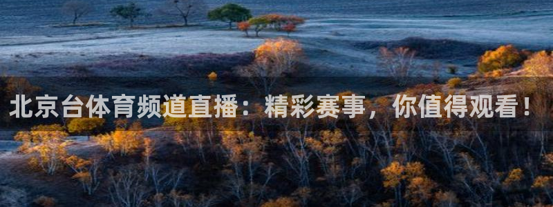 足球比赛直播360直播网：北京台体育频道直播：精彩赛事，你值得观看！