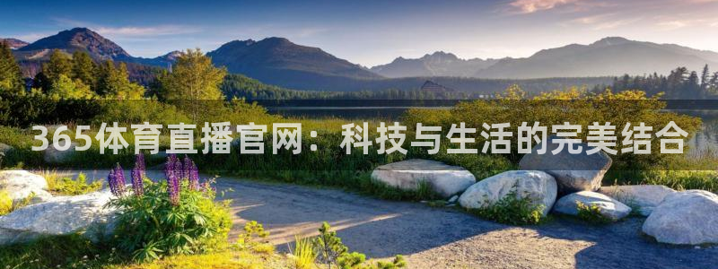 360直播雨燕：365体育直播官网：科技与生活的完美结合