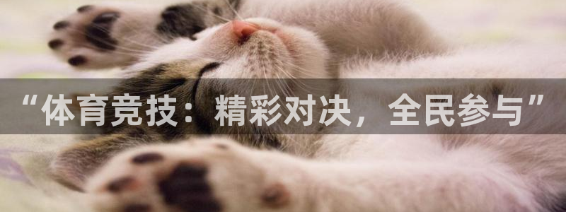360体育直播无插件高清：“体育竞技：精彩对决，全民参与”