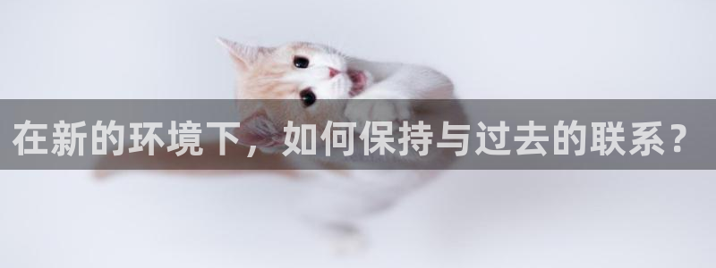 360直播无插件体育直播网站：在新的环境下，如何保持与过去的联系？