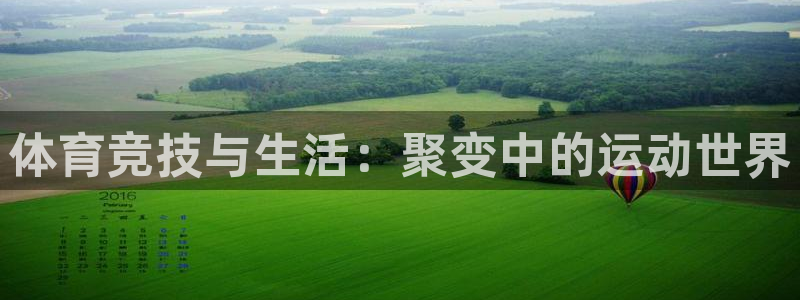 360视频足球直播：体育竞技与生活：聚变中的运动世界