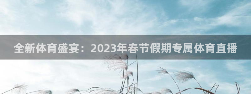 360足球视频直播：全新体育盛宴：2023年春节假期专属体育直播